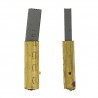 Coppia Carboncini per asp.288-488 Vacuflo