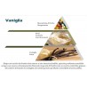 VANIGLIA