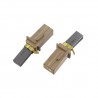 Coppia Carboncini per asp.288-488 Vacuflo